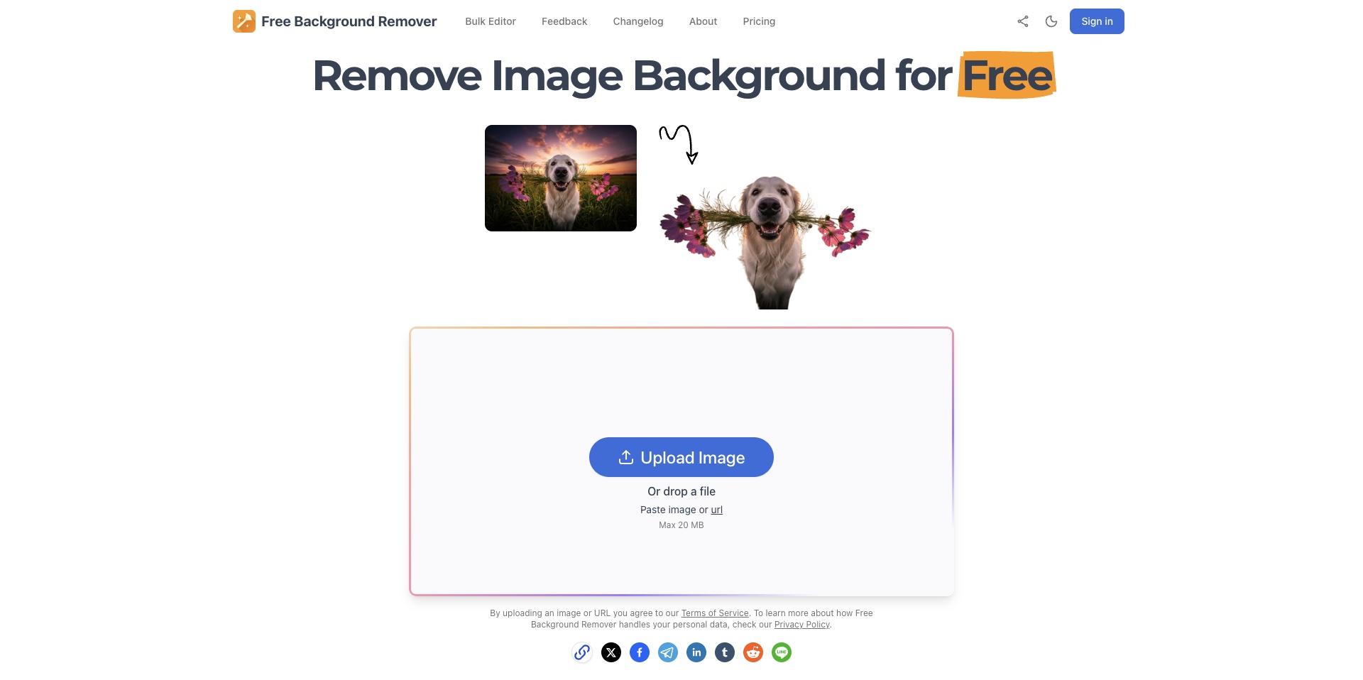 Free Background Remover web interface showing image upload area with drag-and-drop functionality and processing toolbar