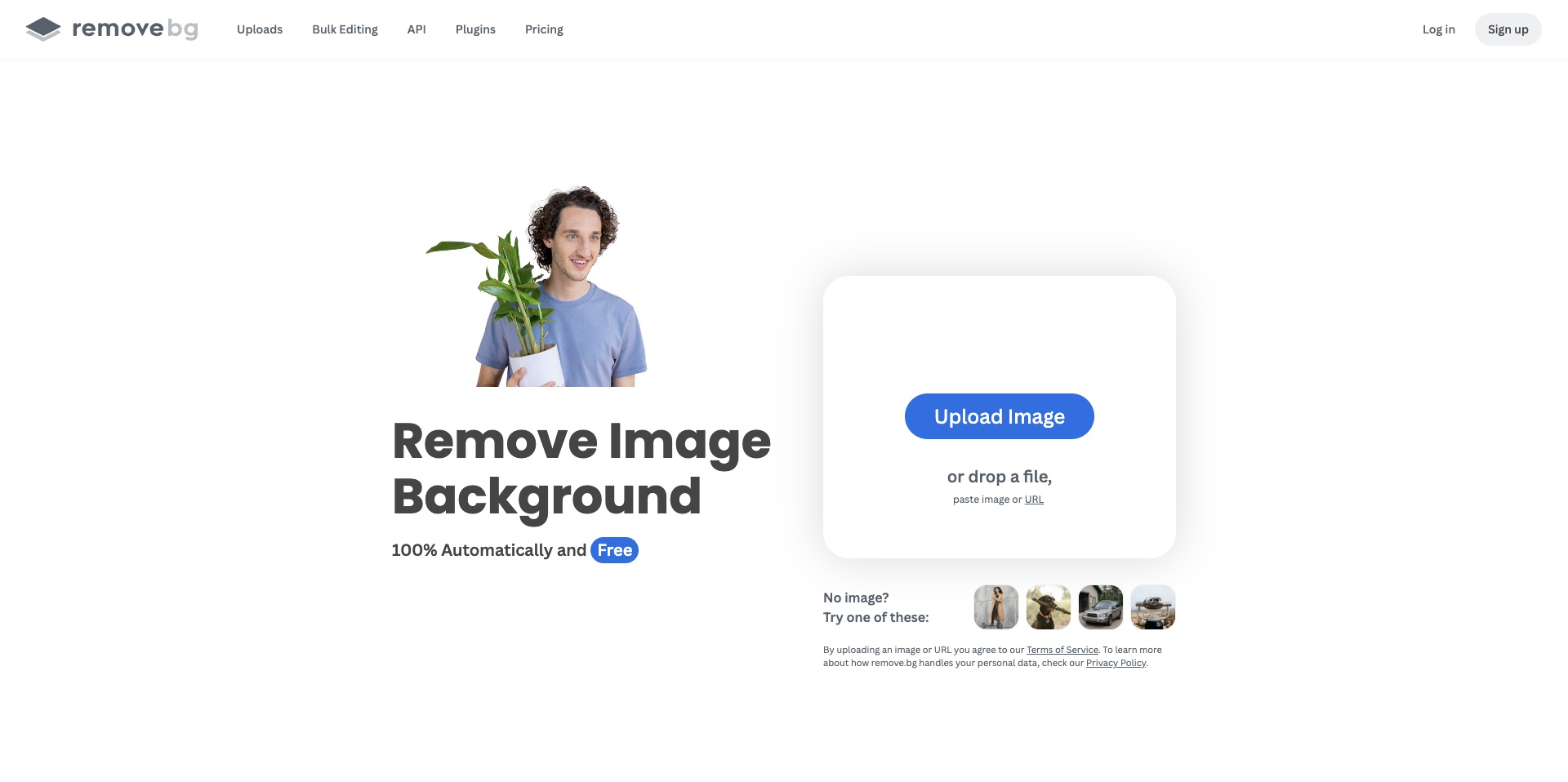 Removebg web interface showing before and after background removal comparison with download options